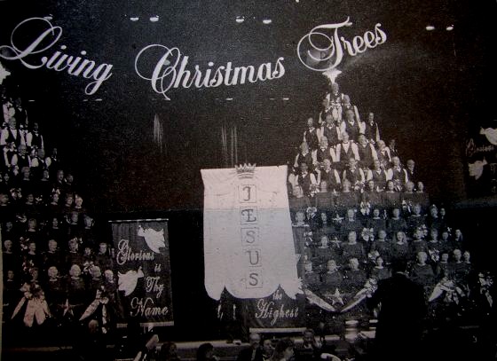 Living Christmas Trees